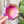 Load image into Gallery viewer, Medium Pumpkin Craft Bowl - Hodge Podge Colors - Designed by Newt!
