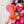 Hearts Fancy Straps - Size 1.5