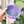 Medium Rope Craft Bowl - Purple Chrome