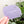 1-2-3-4 HALVES Inch Rounded Corners  - Frosted Violet -  Acrylic Template