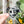 Removable Heart Strapzeez™ - Haunted Faces