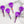 Load image into Gallery viewer, Skull - Purple - Individual Acrylic Pattern and Craft Clip
