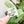 Removable Rectangle Strapzeez™ - Clear