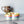 Load image into Gallery viewer, Tiered Large Mouse Shaped Craft Bowl - Dewey Pastel Rainbow - Yellow
