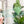 Load image into Gallery viewer, Solo Bee for Classic Boxy Bag - CutOuts - LIGHT GREEN - An Applique Template
