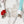 Open Center SQUARED Fancy Straps - Size 1