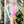 Open Center Rounded Fancy Straps - Size 1