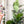 Load image into Gallery viewer, Hive Zipper Accent Template - Clear - 3 Sizes Available
