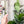 Load image into Gallery viewer, Hive Zipper Accent Template - Soda - 3 Sizes Available
