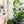 Load image into Gallery viewer, Hive Zipper Accent Template - Frost - 3 Sizes Available
