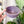 Medium Rope Craft Bowl - Purple Glimmer