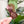 Load image into Gallery viewer, ROUNDED Fancy Straps - Size 1&quot; Webbing to 1/2&quot; Hook - PINK - Set of 3 - Acrylic Template
