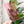 Load image into Gallery viewer, 3&quot; x 6&quot; OklaRuler - Pink
