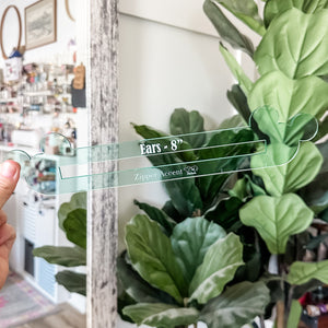 Ears Zipper Accent Template - Light Green - 3 Sizes Available