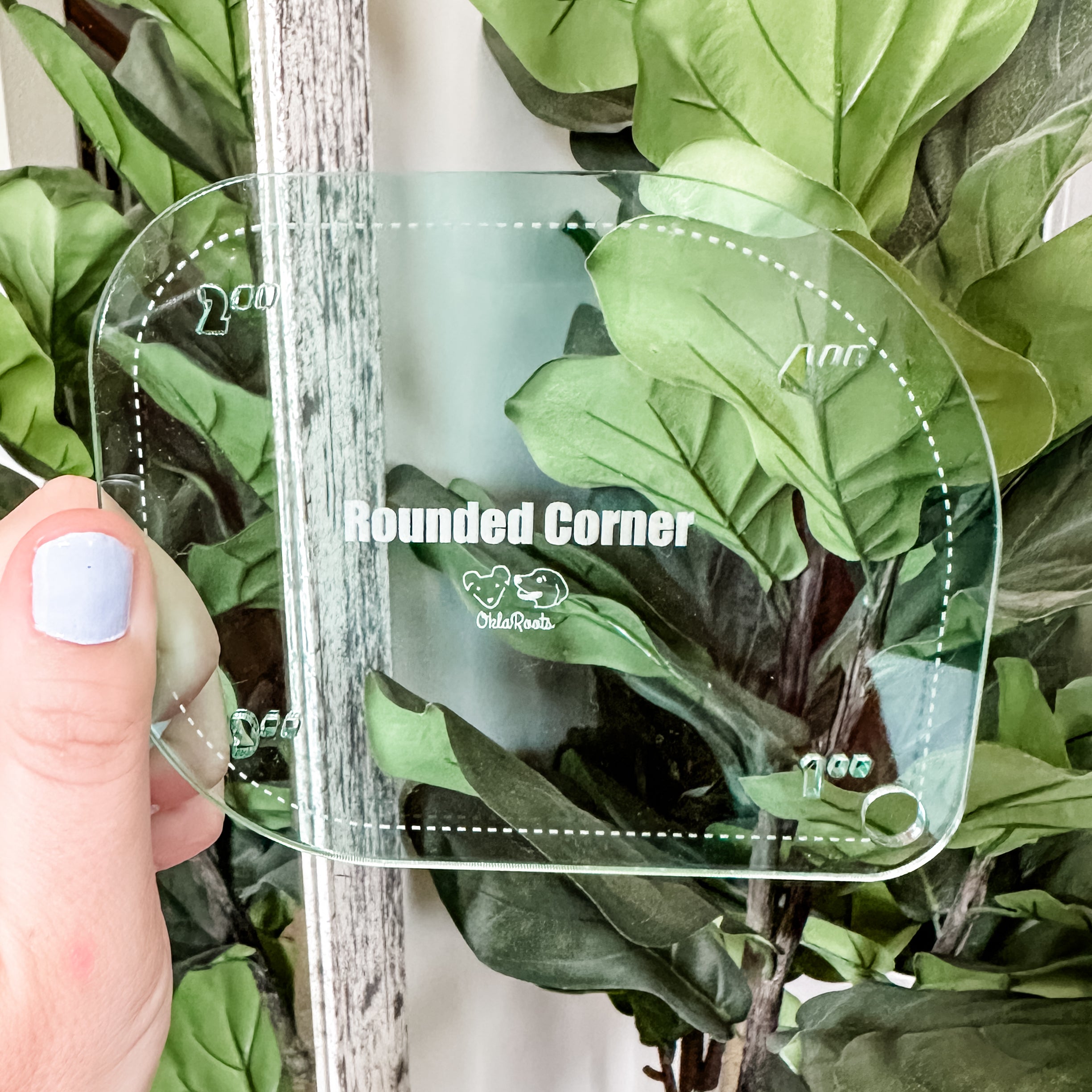 Sign 4 Inch Rounded Corner 1-2-3-4 Inch Rounded Corners - Light Green - Acrylic Template – OklaRoots