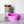 Medium Rope Craft Bowl - Pink Gem