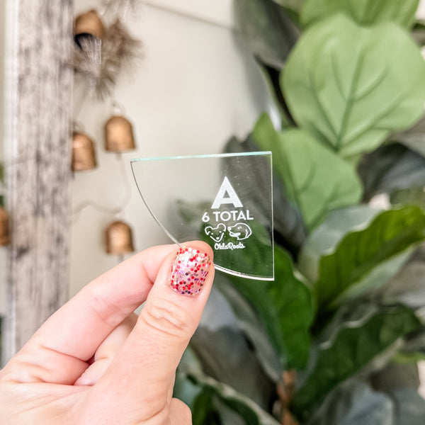 Magic Maker Applique Template Set of 9 - Size Small - SODA - FRAGILE: PLEASE INCLUDE ROUTE ON YOUR ORDER