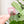 Removable Rectangle Strapzeez™ - Pink