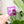 Removable Rectangle Strapzeez™ - Purple