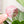 Removable Circle Strapzeez™ - Pink