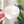 Spiked Craft Bowl - Dewey Pastel Rainbow - Designed by Newt!