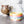 Spiked Craft Bowl - Dewey Pastel Rainbow - Designed by Newt!