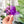 Load image into Gallery viewer, English Paper Piecing Set of 3 - 3/8&quot; Seam Allowance - &quot;Box Top&quot; Style - Purple - Acrylic Template
