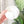Load image into Gallery viewer, Medium Pumpkin Craft Bowl - White - Designed by Newt!

