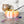 Load image into Gallery viewer, Large Pumpkin Craft Bowl - Pastel Dewey Rainbow - Designed by Newt!
