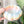 Load image into Gallery viewer, Large Pumpkin Craft Bowl - Pastel Dewey Rainbow - Designed by Newt!
