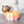 Load image into Gallery viewer, Large Pumpkin Craft Bowl - Pastel Dewey Rainbow - Designed by Newt!

