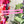 Square Zipper Accent Template - Frosted Magenta - 3 Sizes Available