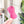 Load image into Gallery viewer, ROUNDED Fancy Straps - Size 1&quot; Webbing to 1/2&quot; Hook - MAGENTA - Set of 3 - Acrylic Template
